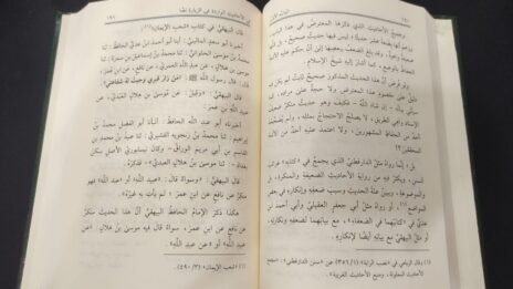 ⁦الصارم المنكي في الرد على السبكي 2/1⁩ - الصورة ⁦3⁩