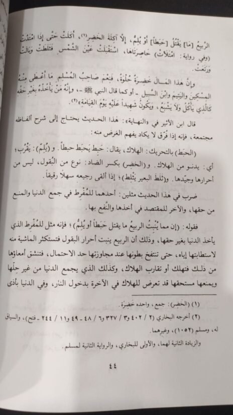 ⁦مثل الحياة الدنيا في الكتاب والسنة وكلام العلماء⁩ - الصورة ⁦2⁩