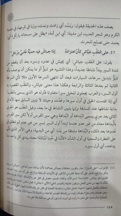 ⁦الدر النفيس في شرح معلقة أمرئ القيس⁩ - الصورة ⁦3⁩
