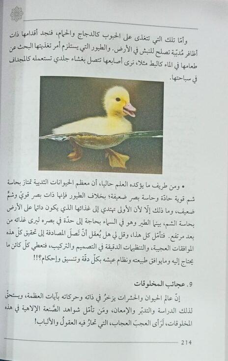 ⁦أدلة وجود الله عبر الإنسان والكون والقرآن⁩ - الصورة ⁦2⁩
